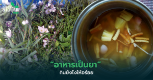 กินอาหารเป็นยา